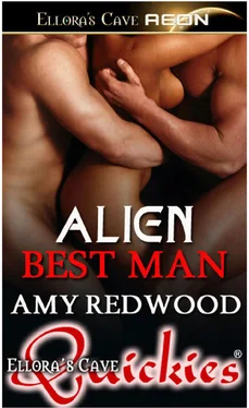 Amy Redwood Alien Best Man обложка книги