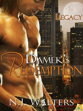 N. Walters Damek's Redemption