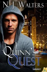 N. Walters - Quinn's Quest
