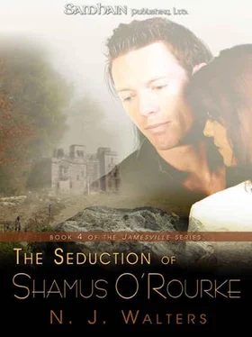 N. Walters The Seduction of Shamus O'Rourke обложка книги