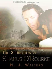 N. Walters - The Seduction of Shamus O'Rourke