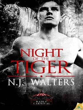 N. Walters Night of the Tiger обложка книги