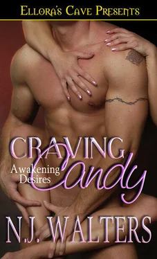 N. Walters Craving Candy обложка книги