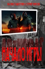 Константин Стригунов - Начало Игры