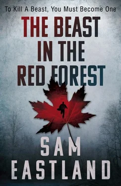 Sam Eastland The Beast in the Red Forest обложка книги