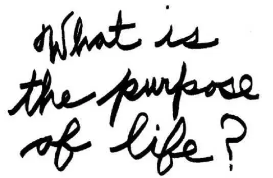 Trout plundered his pockets for a pen or pencil He had an answer to the - фото 25