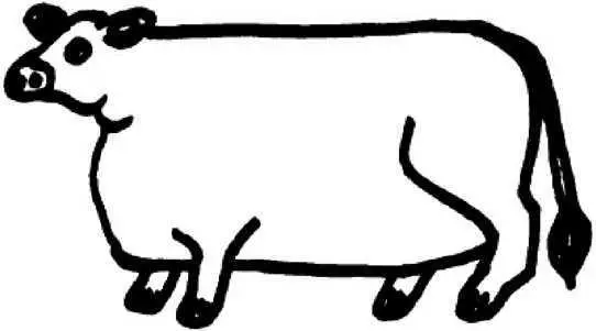 The animal was killed and ground up into little bits then shaped into patties - фото 53