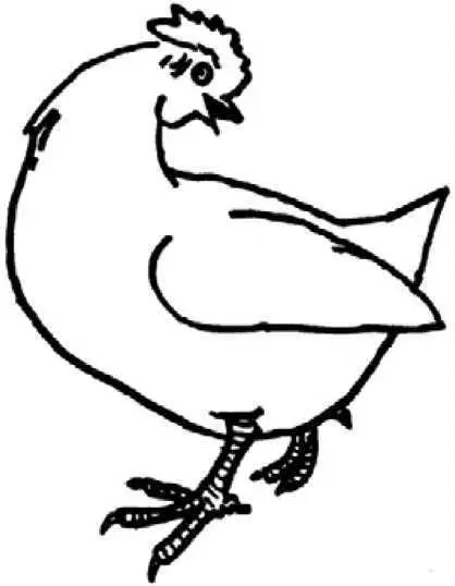 The idea was to kill it and pull out all its feathers and cut off its head and - фото 66