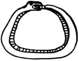 This is the snake which uncoiled itself long enough to offer Eve the apple - фото 85