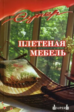 Э Антонов Плетеная мебель обложка книги