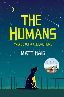 Matt Haig The Humans обложка книги
