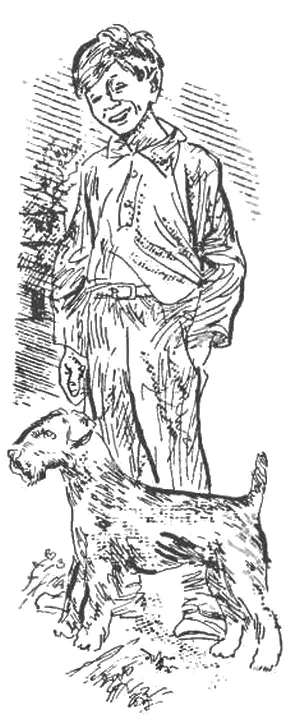 Рыжий к появлению Дзагли был уже вполне взрослым котом За зиму он заматерел - фото 3