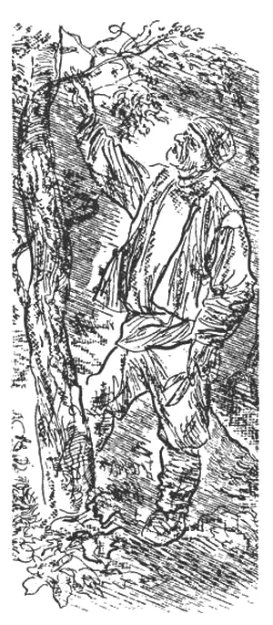 Зураб Константинович наши визиты заметил довольно быстро После второго или - фото 5