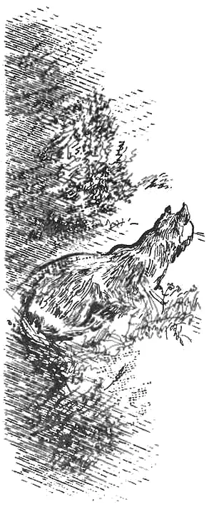 Мы идем пригибаясь и проскальзывая под бельевыми веревками Я и Витька рядом - фото 6