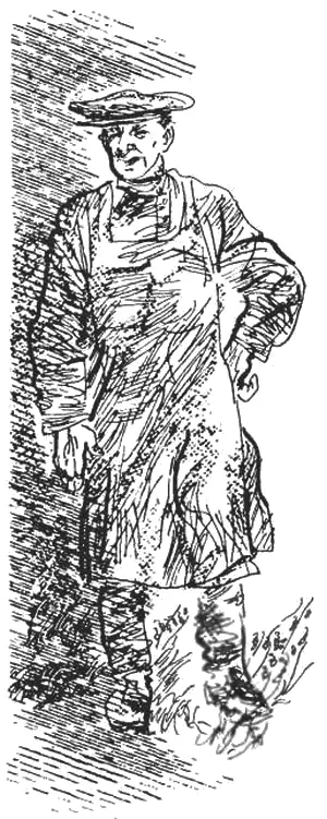 И он ушел И может быть ему стало стыдно потому что никогда больше дяде - фото 7