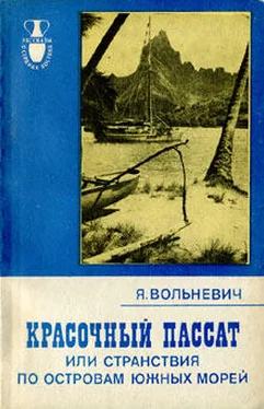 Януш Вольневич Красочный пассат, или Странствия по островам Южных морей обложка книги