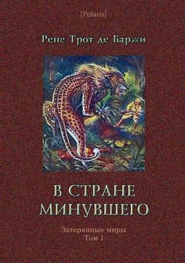 Рене де Баржи В стране минувшего обложка книги