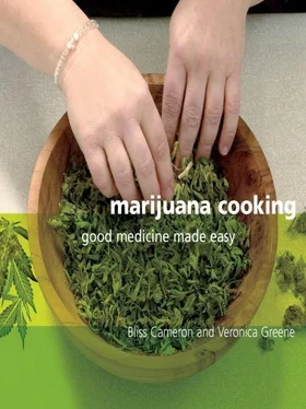 Bliss Cameron Marijuana Cooking: Good Medicine Made Easy обложка книги