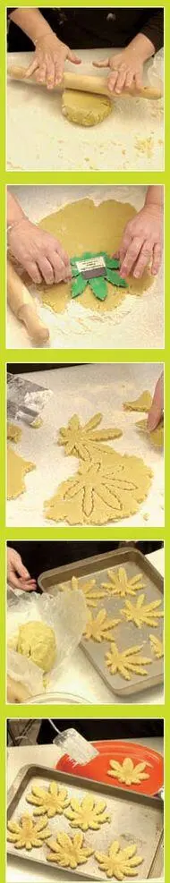 Dip the cookie cutter in flour and press into the rolled dough You could also - фото 94