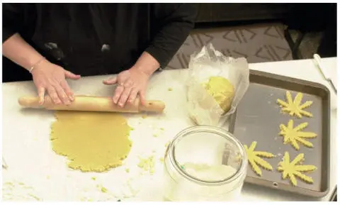 Dip the cookie cutter in flour and press into the rolled dough You could also - фото 95