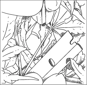 Cut at a fortyfivedegree angle Next you are going to trim off two sets of - фото 6