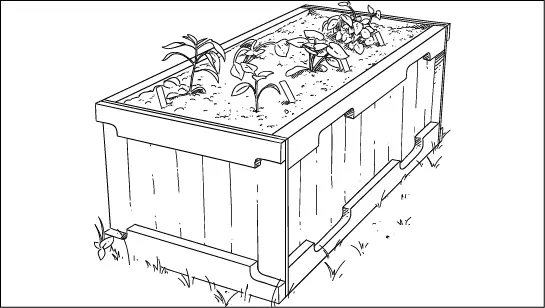 Raised wooden garden bed Container Soil A containergrown plant is far more - фото 8