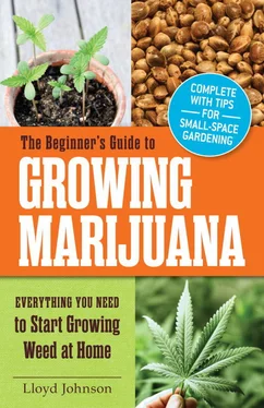 Lloyd Johnson The Beginner's Guide to Growing Marijuana обложка книги