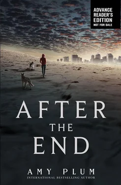 Amy Plum After the End обложка книги