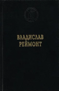 Владислав Реймонт Земля обетованная обложка книги