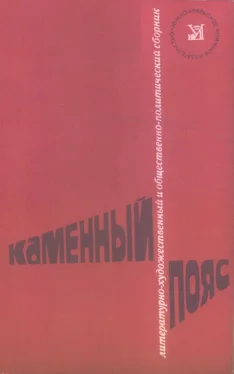 Маргарита Анисимкова Каменный пояс, 1979 обложка книги
