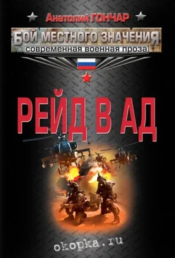 Анатолий Гончар Рейд в ад обложка книги