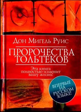 Дон Мигель Руис Пророчества Тольтеков обложка книги