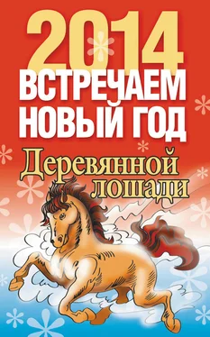 Лариса Конева Встречаем Новый год 2014 обложка книги