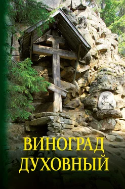 О. Петруня Виноград духовный. Сборник кратких поучений из Священного Писания и святоотеческих сочинений