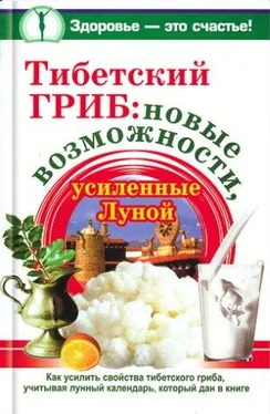 Анна Чуднова Тибетский гриб: новые возможности, усиленные Луной обложка книги