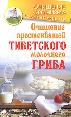 Константин Чистяков Очищение простоквашей тибетского молочного гриба обложка книги