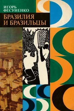 Игорь Фесуненко Бразилия и бразильцы обложка книги