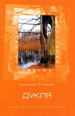 Анджей Стасюк Дукля обложка книги