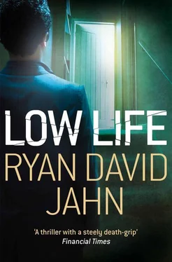 Ryan Jahn Low Life обложка книги