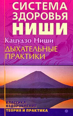 Ниши Кацудзо Дыхательные практики обложка книги