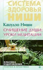 Ниши Кацудзо - Очищение души - уроки медитации
