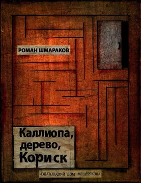 Роман Шмараков Каллиопа, дерево, Кориск обложка книги