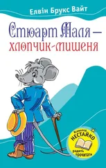 Елвін Брукс Вайт - Стюарт Маля – хлопчик-мишеня