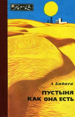 Агаджан Бабаев Пустыня как она есть обложка книги