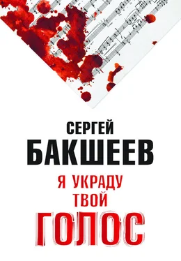 Сергей Бакшеев Я украду твой голос обложка книги