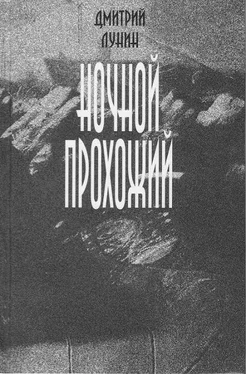 Дмитрий Лунин Ночной прохожий обложка книги