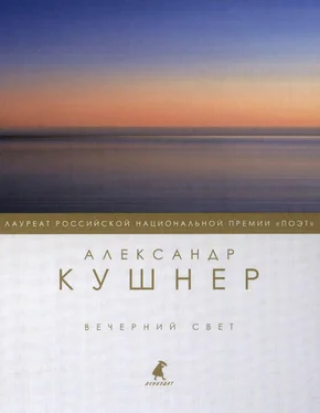 Александр Кушнер Вечерний свет обложка книги