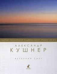 Александр Кушнер - Вечерний свет