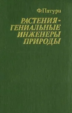 Феликс Патури Растения - гениальные инженеры природы обложка книги