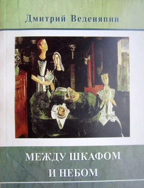 Дмитрий Веденяпин Между шкафом и небом обложка книги